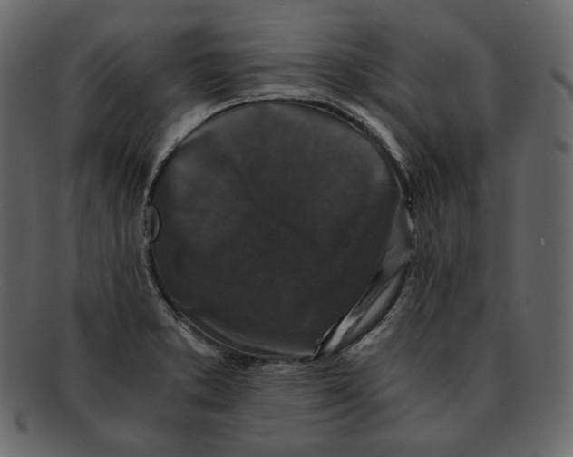 X0000092291373200710051154