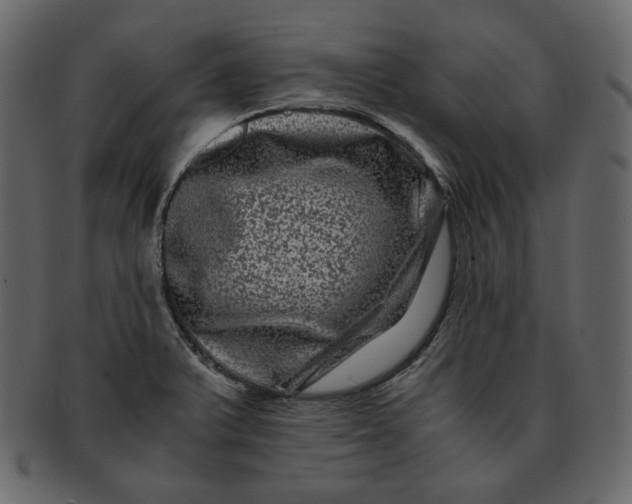 X0000092291375200710051154