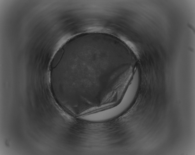 X0000092291376200710051154