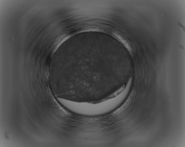 X0000092291377200710051154