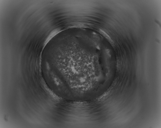 X0000092291378200710051154