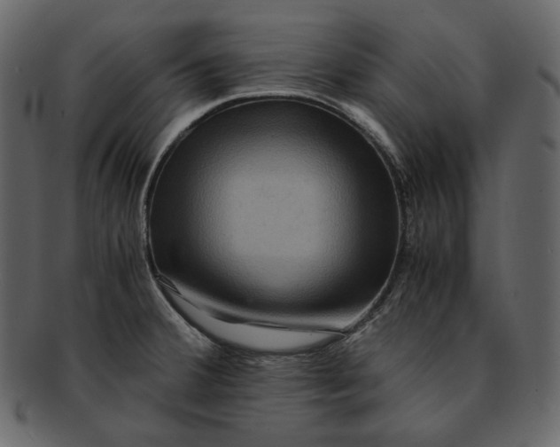 X0000092291380200710051154