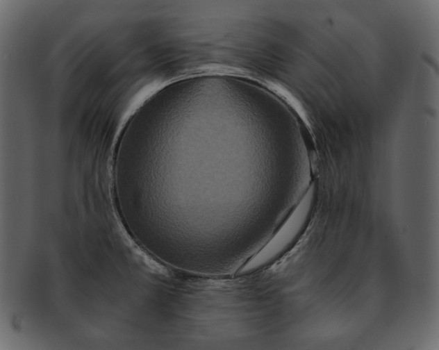 X0000092291381200710051154