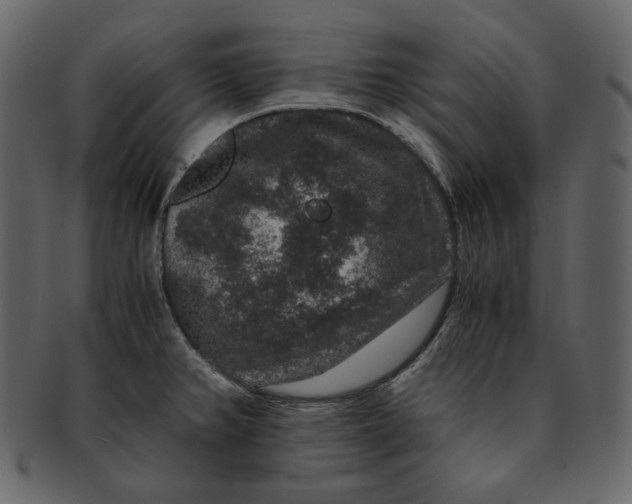 X0000092291382200710051154