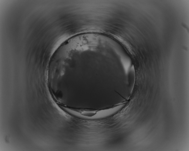 X0000092291383200710051154