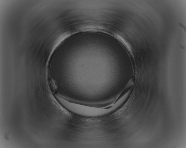 X0000092291384200710051154