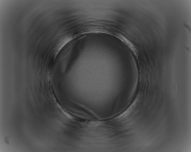 X0000092291385200710051154