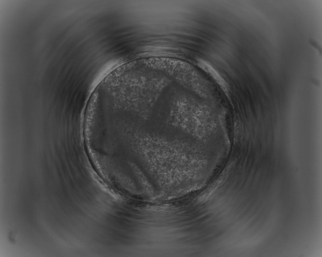 X0000092291386200710051154