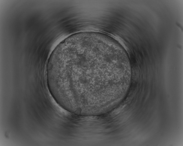 X0000092291387200710051154