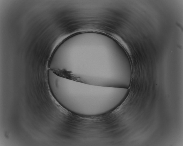 X0000092291388200710051154