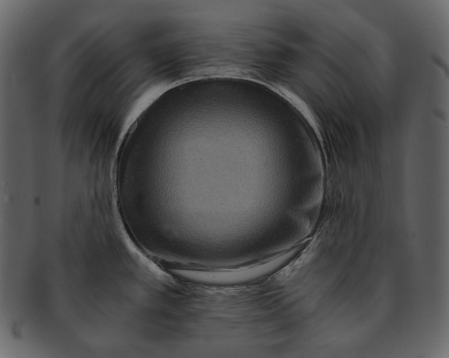 X0000092291389200710051154