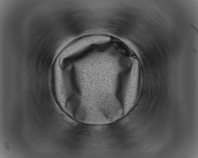 X0000092291390200710051154