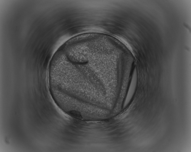 X0000092291391200710051154