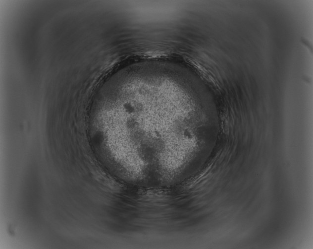 X0000092291393200710051153