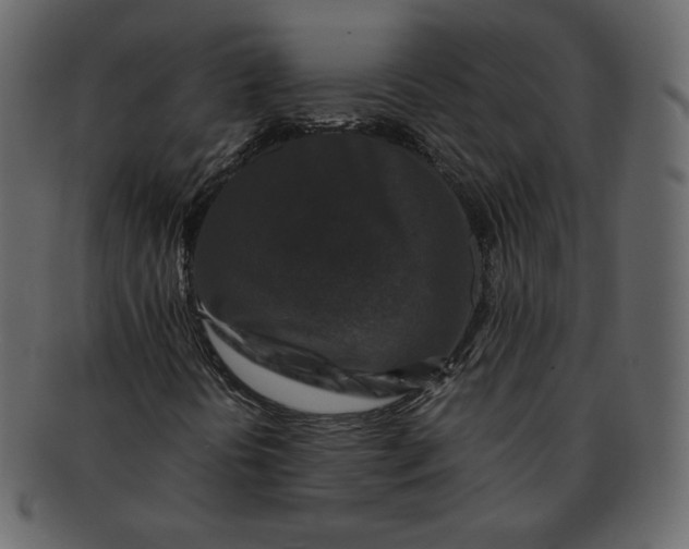 X0000092291394200710051153