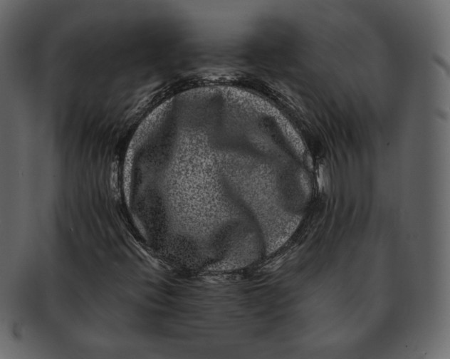 X0000092291396200710051153