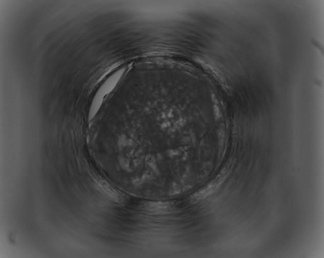 X0000092291401200710051153