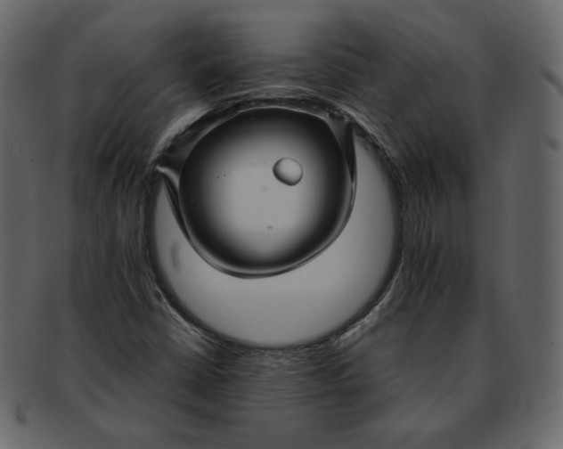 X0000092291402200710051153