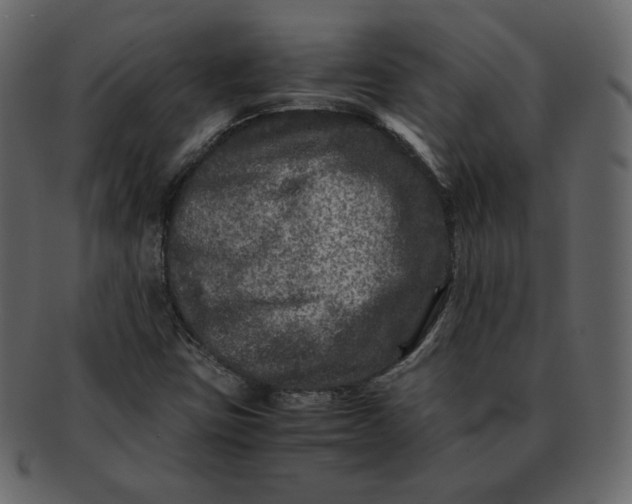 X0000092291403200710051153