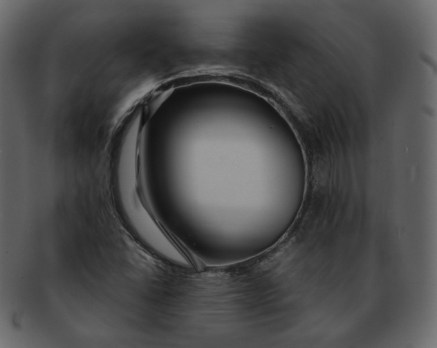 X0000092291406200710051153