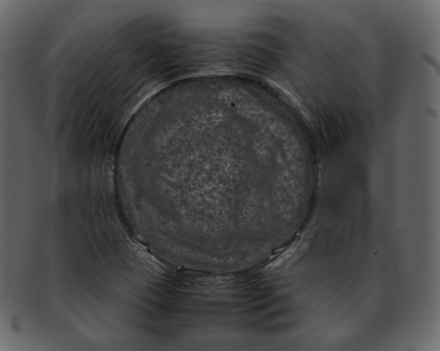 X0000092291409200710051153