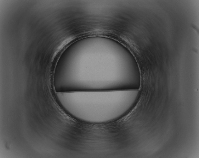 X0000092291410200710051153