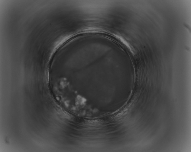 X0000092291413200710051153