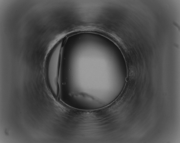 X0000092291414200710051153