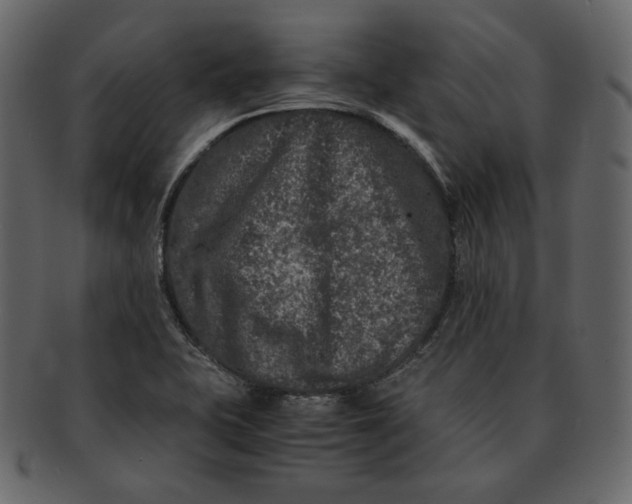 X0000092291415200710051153