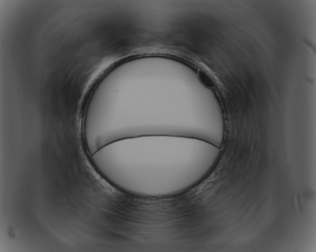 X0000092291416200710051153