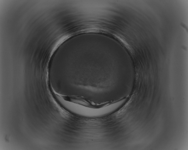 X0000092291418200710051153