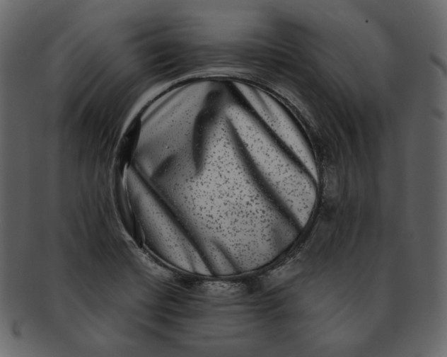 X0000092291420200710051153