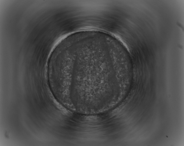 X0000092291421200710051153