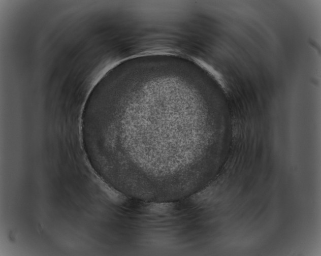 X0000092291423200710051153