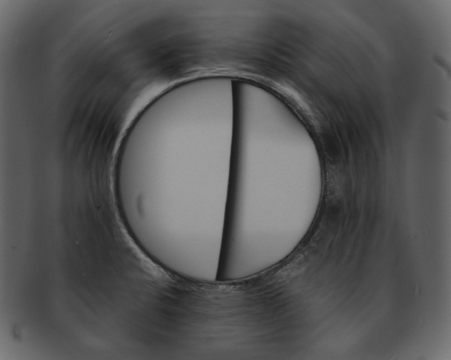 X0000092291424200710051153