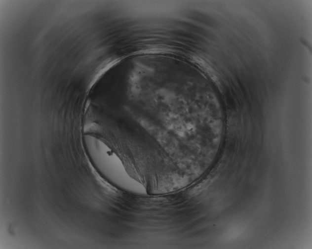 X0000092291425200710051153