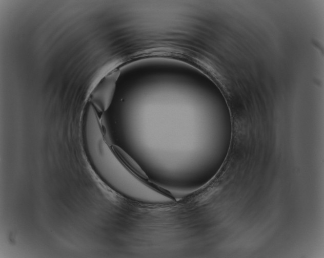 X0000092291426200710051153