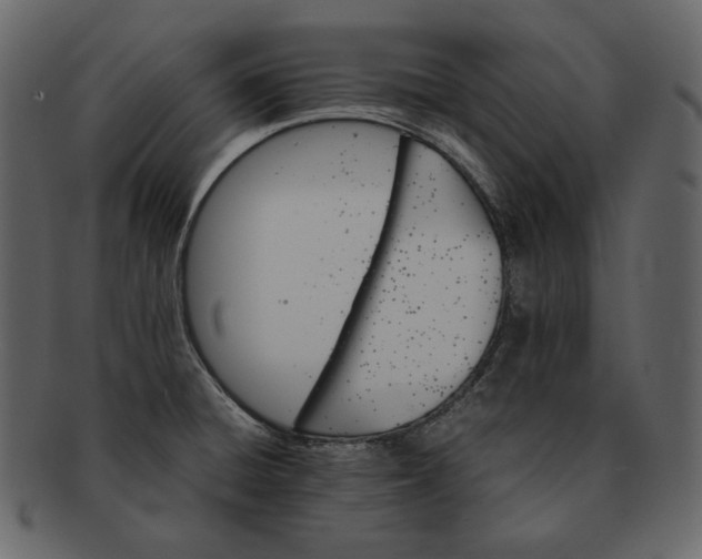 X0000092291428200710051153