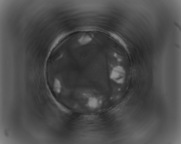 X0000092291429200710051153