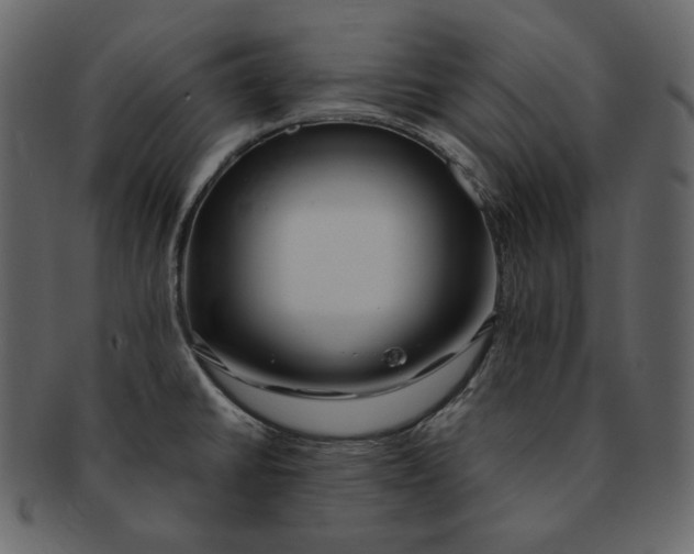 X0000092291430200710051153