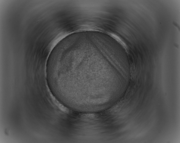 X0000092291431200710051154