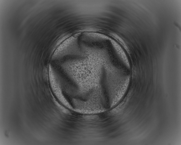 X0000092291433200710051154