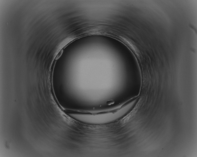 X0000092291434200710051154