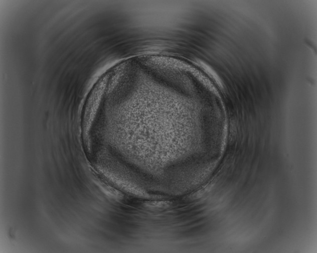 X0000092291435200710051154