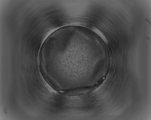 X0000092291436200710051154