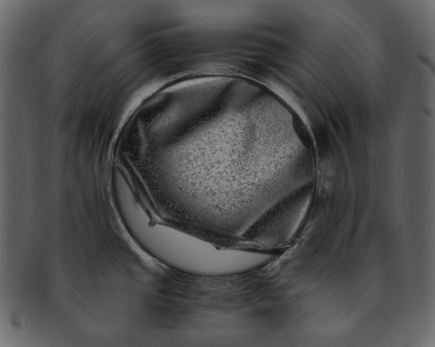 X0000092291437200710051154