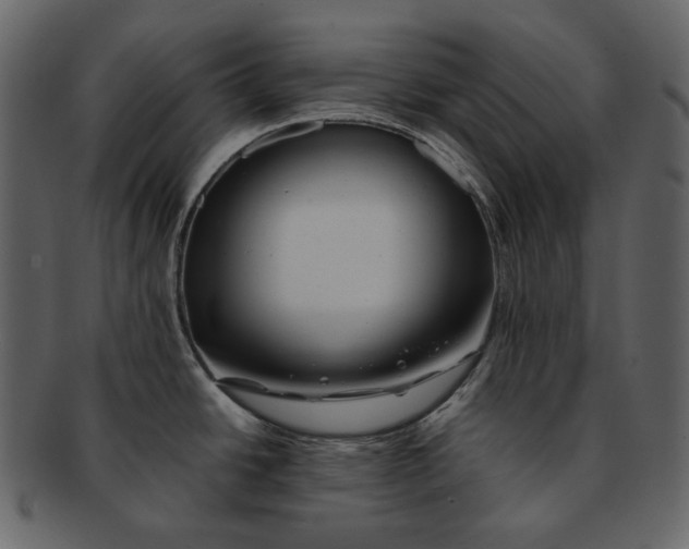 X0000092291438200710051154