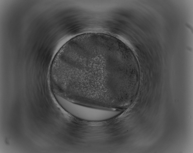 X0000092291440200710051154