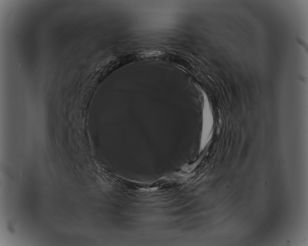 X0000092291441200710051153