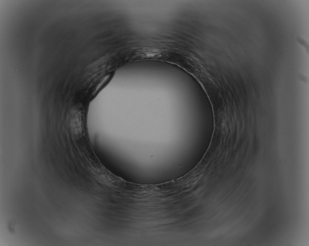 X0000092291442200710051153